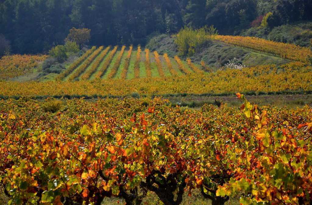 Tardor al Penedès Cal Ton Cruset Casa de turisme rural